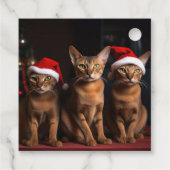暖炉のクリスマスまでにアビシニアン フェイバータグ (裏面)