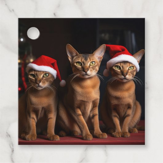暖炉のクリスマスまでにアビシニアン フェイバータグ (正面)