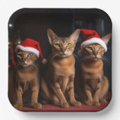 暖炉のクリスマスまでにアビシニアン ペーパープレート (正面)