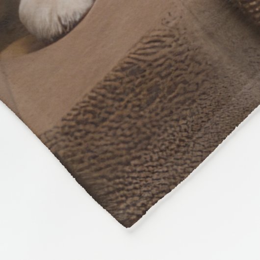 暖炉のクリスマスまでにアメリカのエスキモー フリースブランケット (角)