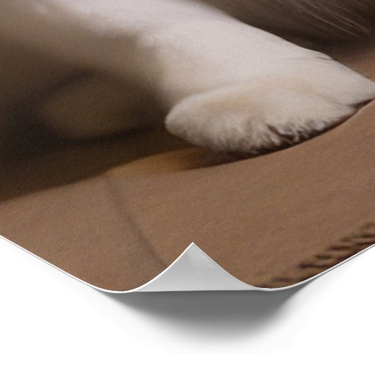 暖炉のクリスマスまでにアメリカのエスキモー ポスター (角)