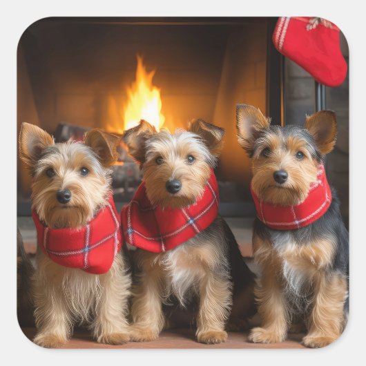 暖炉のクリスマスまでにオーストラリアのテリア スクエアシール (正面)