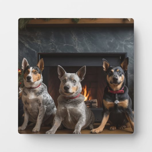 暖炉のクリスマスまでにオーストラリアの牛 フォトプラーク (正面)