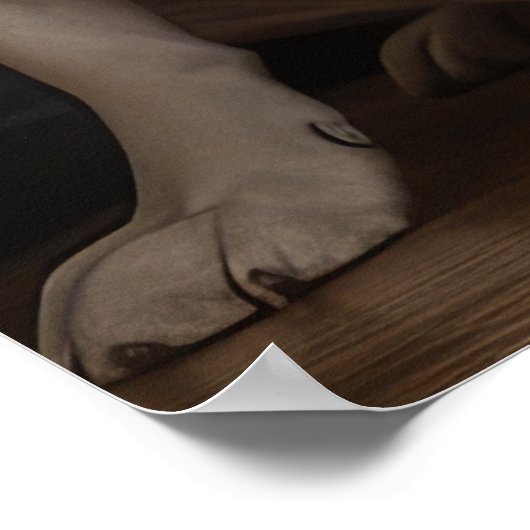 暖炉のクリスマスまでにオーストラリアの牛 ポスター (角)