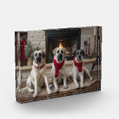 暖炉のクリスマスまでに行われたアナトリアの羊飼い フォトブロック (左)