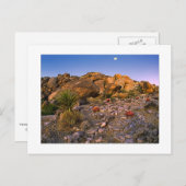 「暖炉のリングや輪に満月が沈む」 ポストカード (正面/裏面)