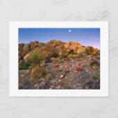 「暖炉のリングや輪に満月が沈む」 ポストカード (正面)