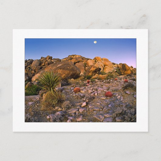 「暖炉のリングや輪に満月が沈む」 ポストカード (正面)