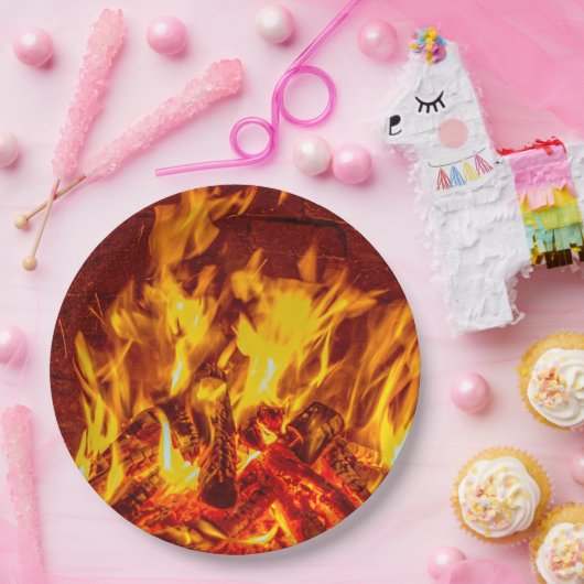 暖炉は使い捨て可能な紙皿を炎にあてます ペーパープレート (パーティー)