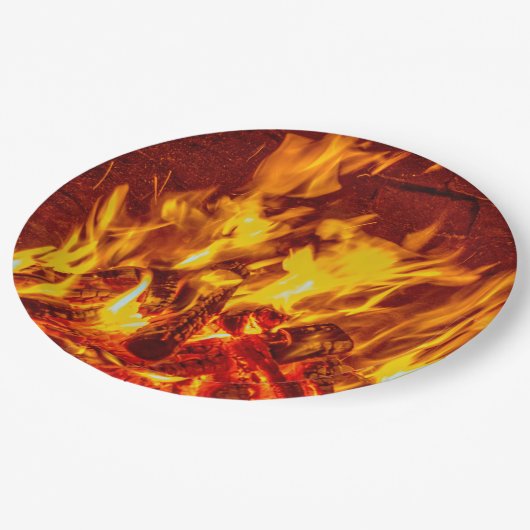 暖炉は使い捨て可能な紙皿を炎にあてます ペーパープレート (アングル)