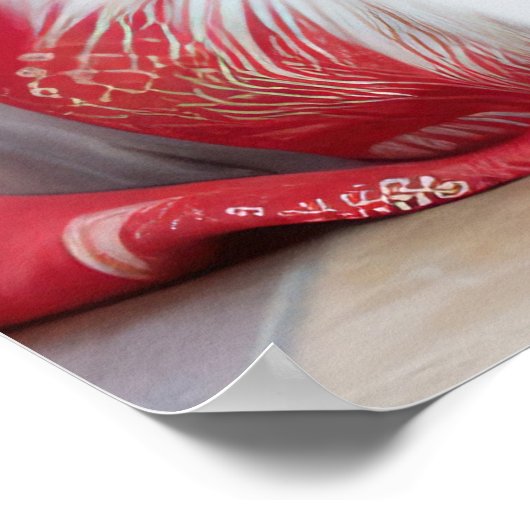 暖炉クリスマスによるオーストラリアの羊飼い ポスター (角)