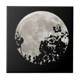 暗いの葉後ろ タイル