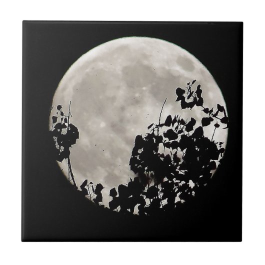 暗いの葉後ろ タイル (正面)