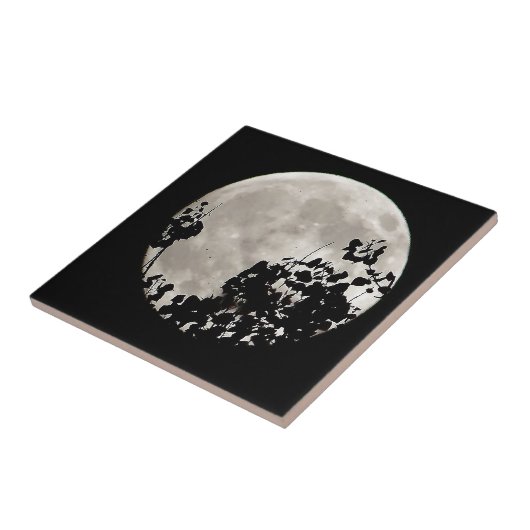 暗いの葉後ろ タイル (側面)