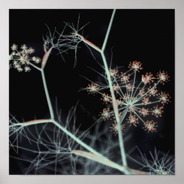 暗いエレガントフローラ抽象芸術 ポスター