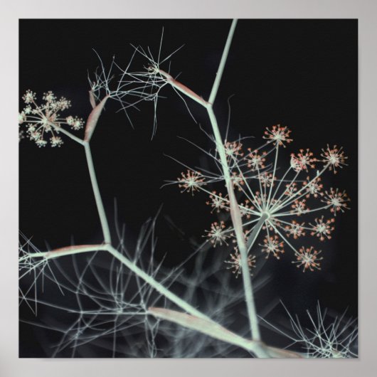 暗いエレガントフローラ抽象芸術 ポスター (正面)