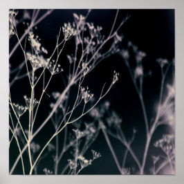 暗いエレガントフローラ抽象芸術 ポスター