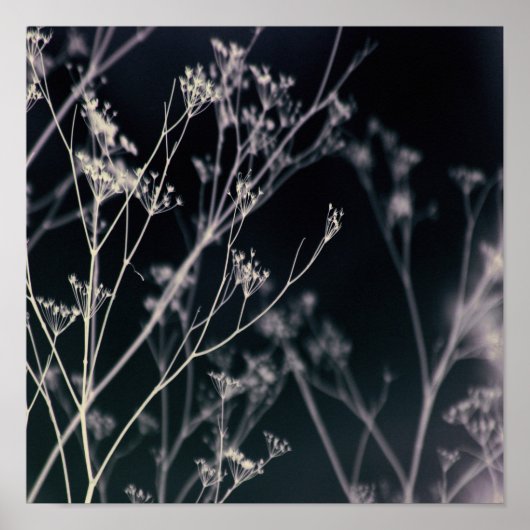 暗いエレガントフローラ抽象芸術 ポスター (正面)