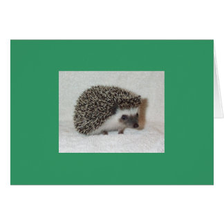 暗いハリネズミカード