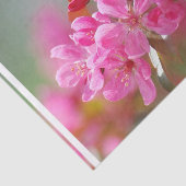 暗いピンクの桜 薄葉紙 (詳細)