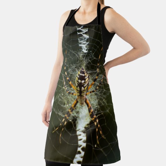 暗い中のくもの巣上の黄色の庭のクモ エプロン (インサイチュ)