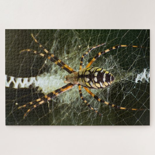 暗い中のくもの巣上の黄色の庭のクモ ジグソーパズル (横)