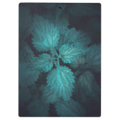 暗い刺すようなイラクサ自然写真 クリップボード (裏面)