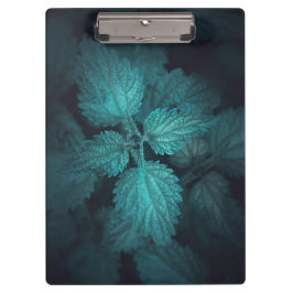 暗い刺すようなイラクサ自然写真 クリップボード