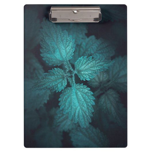 暗い刺すようなイラクサ自然写真 クリップボード (正面)
