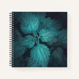 暗い刺すようなイラクサ自然写真 ノートブック