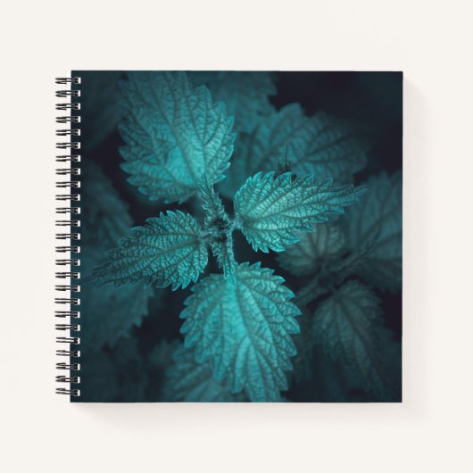 暗い刺すようなイラクサ自然写真 ノートブック (正面)