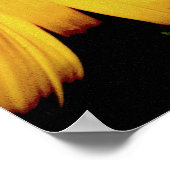 暗い太陽 ポスター (角)