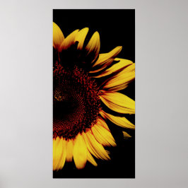 暗い太陽 ポスター