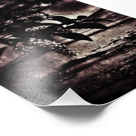 暗い春 フォトプリント            (角)