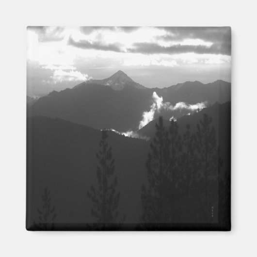 暗い朝に雄牛が選ぶ… マグネット (正面)