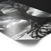 暗い木 フォトプリント            (角)