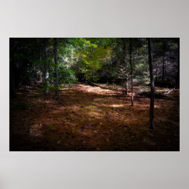 暗い森の中で晴れ ポスター