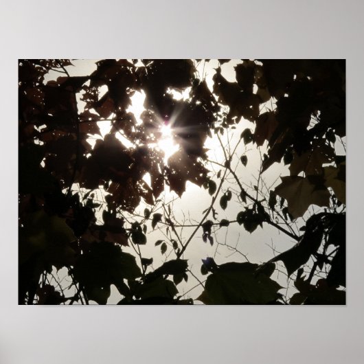 暗い森の中の明るい場所 ポスター (正面)