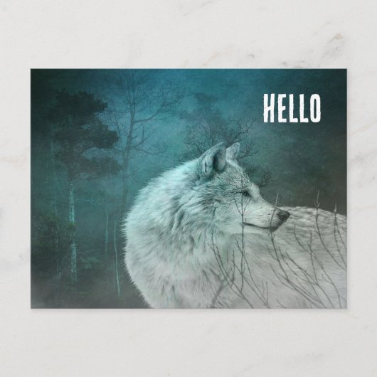 暗い森の中の美しい灰色の狼 ポストカード (正面)