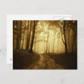 暗い森の中の霧の道 ポストカード (正面/裏面)