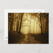 暗い森の中の霧の道 ポストカード (正面/裏面)