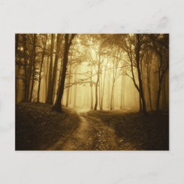 暗い森の中の霧の道 ポストカード
