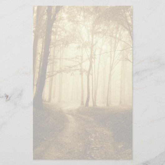 暗い森の中の霧の道 便箋 (正面)