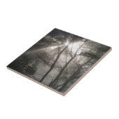 暗い森の中を通る太陽 タイル (側面)