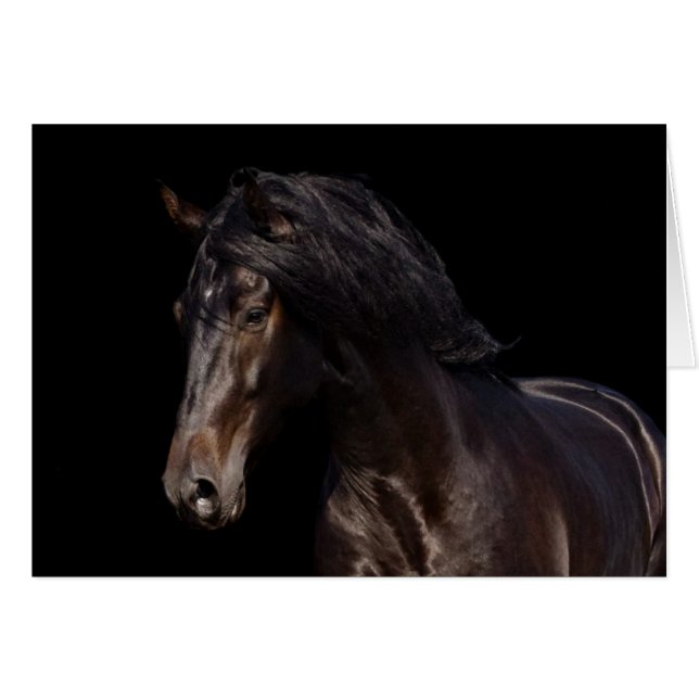 暗い湾 (正面横)