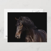 暗い湾 ポストカード (正面/裏面)