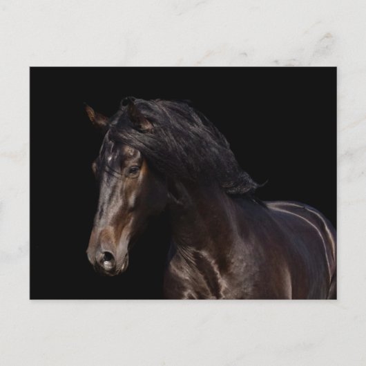 暗い湾 ポストカード (正面)