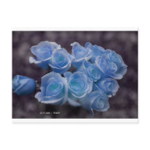 暗い白熱［赤熱］光を放つ背景に対する青いバラ