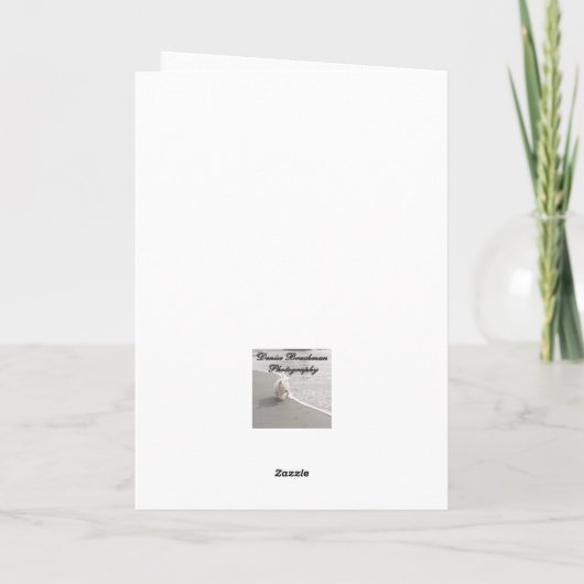 暗い目のJunco鳥フォトクリスマスカード 案内状 (裏面)