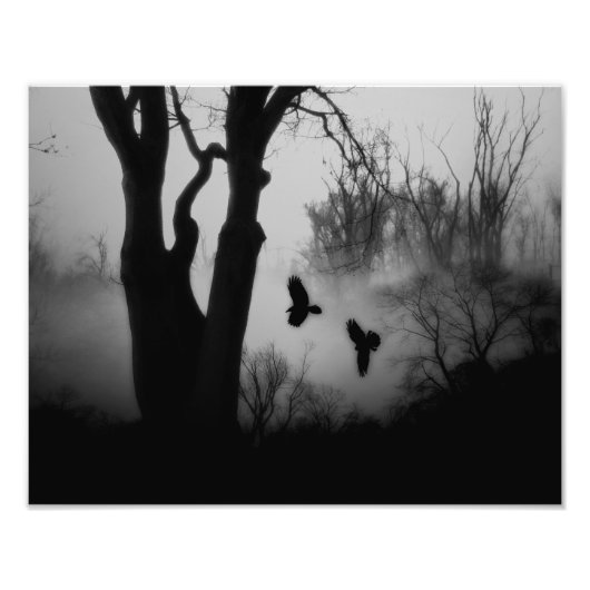暗い神秘的な森のカラス フォトプリント            (正面)